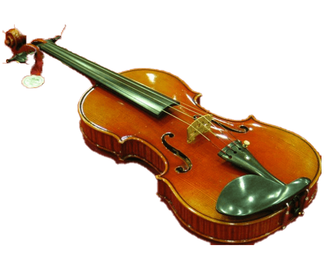 Ernst-Heinrich Roth Violine, Master Line