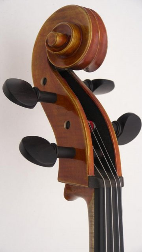 Arc Verona Student Violoncello