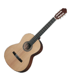 Gitarre