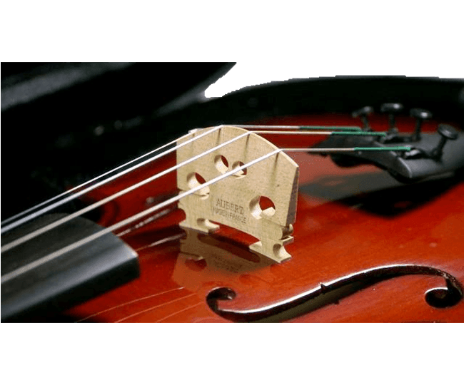 Arc Verona ASPIRANTE Violinset