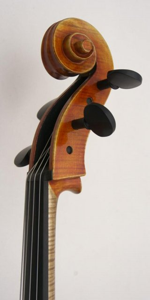 Arc Verona Student Violoncello