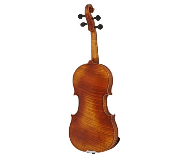 Ernst-Heinrich Roth Violine, Konzert Line