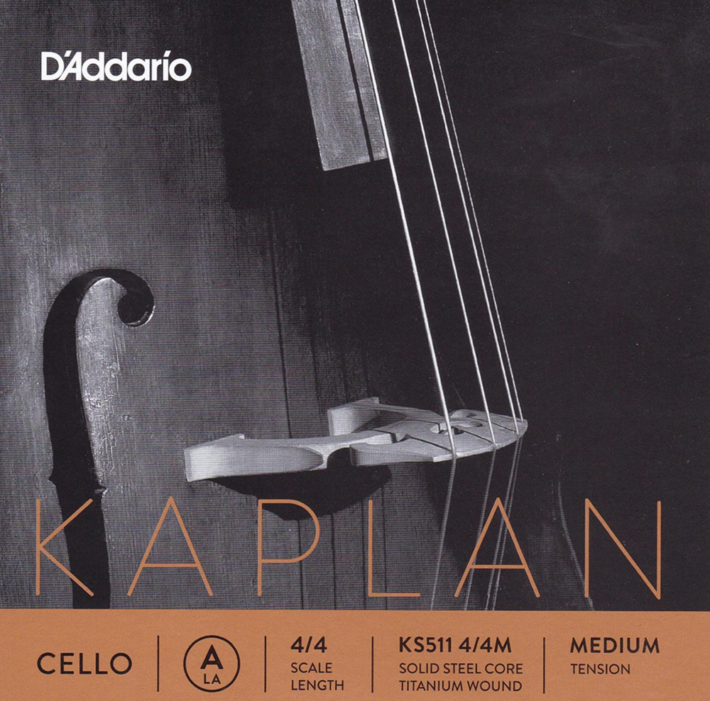 Kaplan 