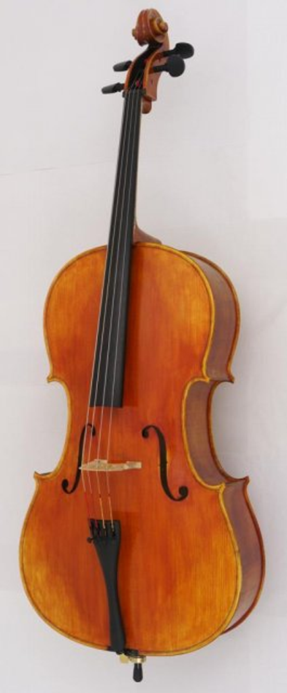 Arc Verona Student Violoncello