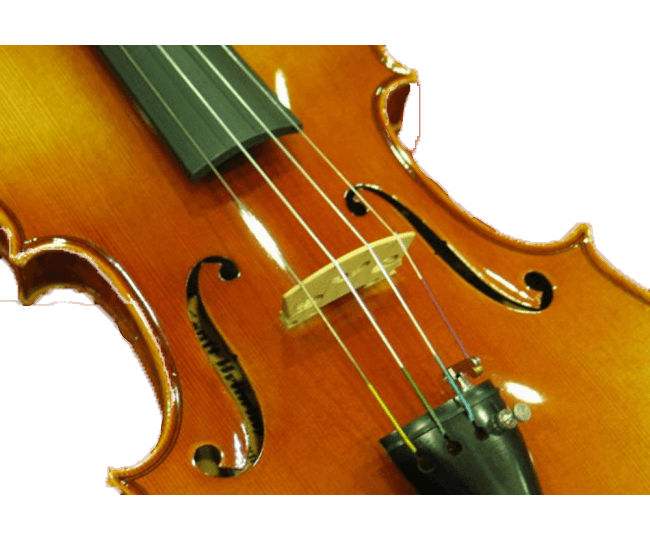 Ernst-Heinrich Roth Violine, Master Line