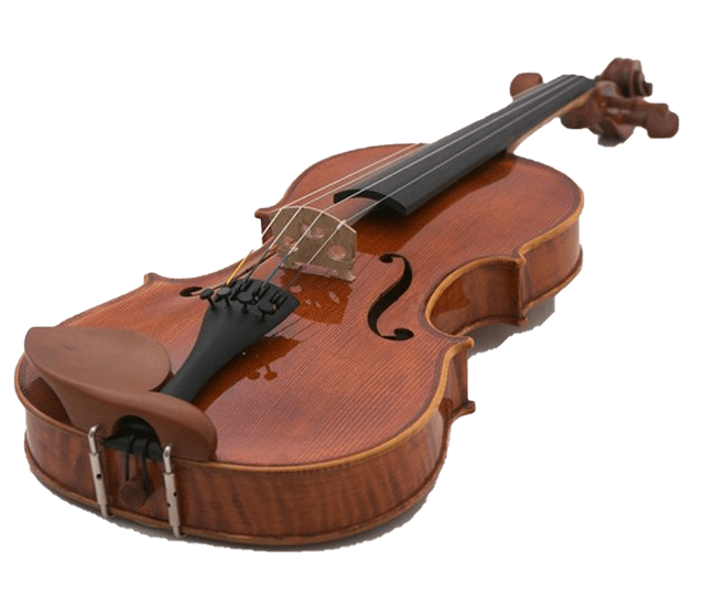 Arc Verona SCHOLAR Violinset