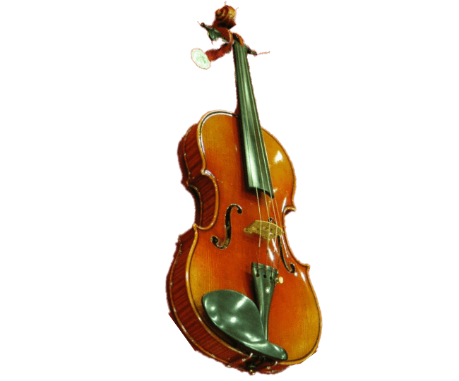 Ernst-Heinrich Roth Violine, Master Line