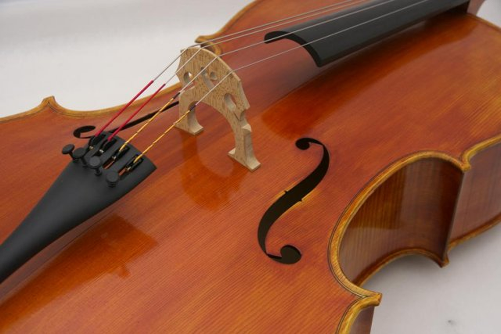 Arc Verona Student Violoncello