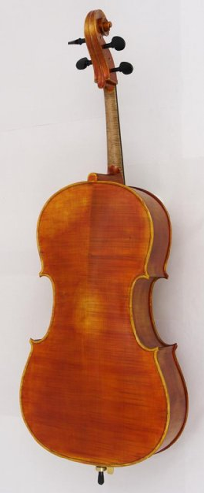 Arc Verona Student Violoncello